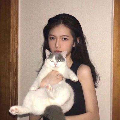 魔法与荣耀手机版下载